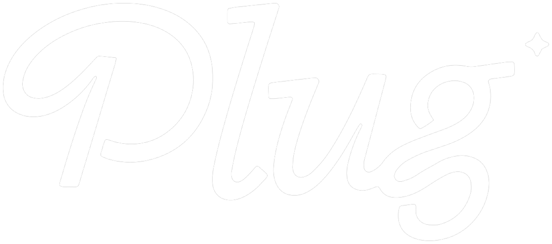 Plug